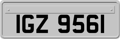 IGZ9561