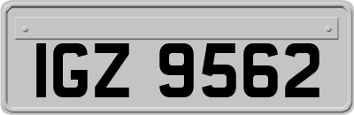 IGZ9562