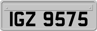 IGZ9575