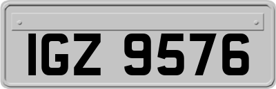IGZ9576