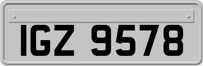 IGZ9578