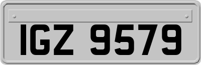 IGZ9579