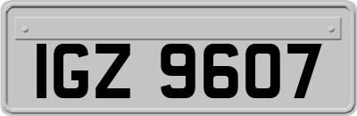 IGZ9607