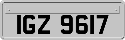 IGZ9617