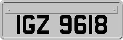 IGZ9618
