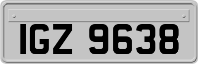 IGZ9638