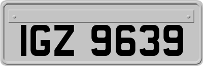 IGZ9639