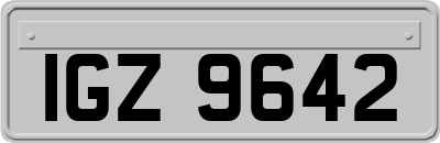IGZ9642