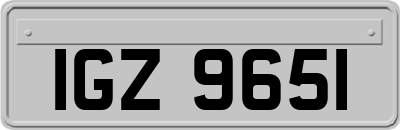 IGZ9651