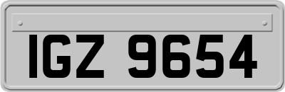 IGZ9654