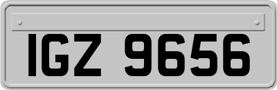 IGZ9656
