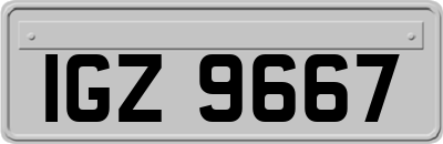 IGZ9667