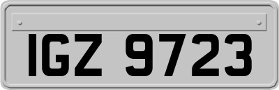 IGZ9723