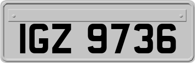 IGZ9736