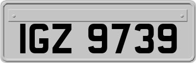 IGZ9739