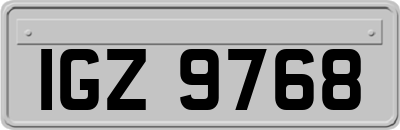 IGZ9768