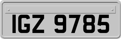 IGZ9785