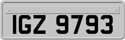 IGZ9793