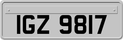 IGZ9817