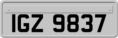 IGZ9837