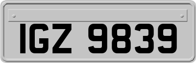 IGZ9839