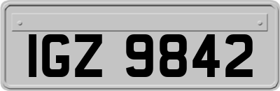 IGZ9842