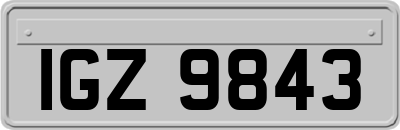 IGZ9843
