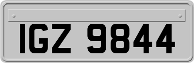 IGZ9844