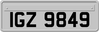 IGZ9849