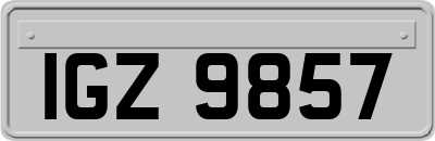 IGZ9857
