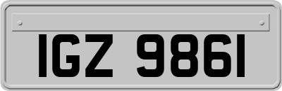 IGZ9861