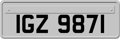 IGZ9871