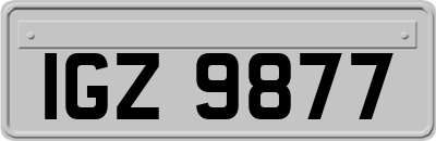IGZ9877