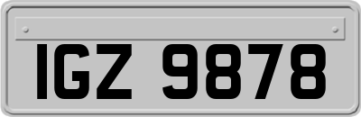 IGZ9878