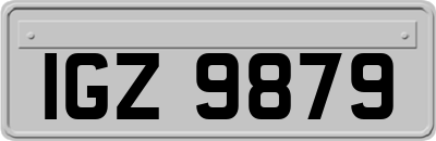 IGZ9879