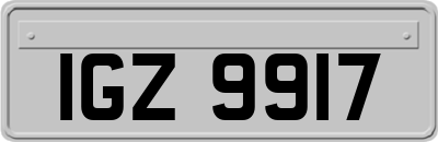 IGZ9917