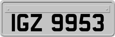 IGZ9953