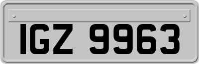 IGZ9963