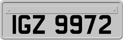 IGZ9972