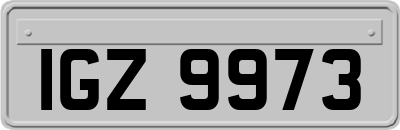 IGZ9973