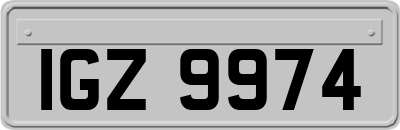 IGZ9974