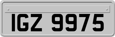 IGZ9975