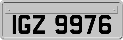 IGZ9976