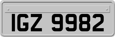 IGZ9982