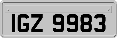 IGZ9983
