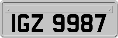 IGZ9987