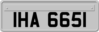 IHA6651