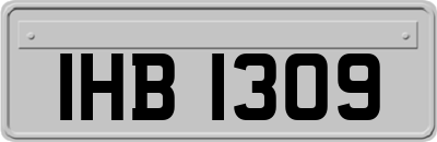 IHB1309