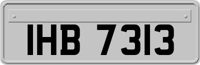 IHB7313