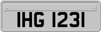 IHG1231
